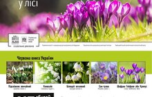 Фото 5: Львів’ян закликають не зривати, не купувати та не дарувати первоцвіти