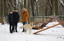 Фото 10: У Львові облаштували ще один тренувально-вигульний майданчик для собак