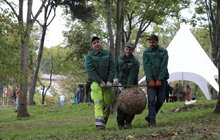 Фото 6: У Львові висадили 96 іменних дерев, присвячених загиблим Героям