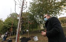 Фото 25: У Львові висадили 96 іменних дерев, присвячених загиблим Героям