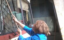 Фото 3: Міські трамваї та тролейбуси миють у дві зміни 