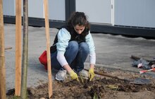 Фото 11: Минув перший рік роботи міських садівників у Львові