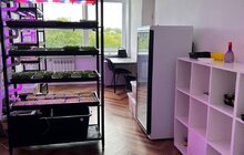 Фото 2: Відтепер львівські школярі вирощуватимуть мікрозелень
