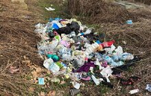 Фото 2: Міські служби ліквідували стихійні сміттєзвалища на Брюховицькому та Ряснянському кладовищах