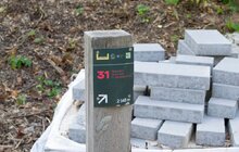 Фото 3: У місті триває реконструкція Замарстинівського парку для реабілітації військових та інших пацієнтів