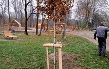 Фото 2: 20 спонсорських кущів та дерев висадили у парках Шевченківського району