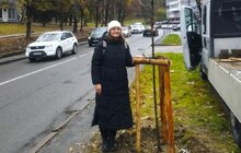 Фото 3: 10 дерев уже висадили у Франківському районі в межах акції «Подаруй місту дерево»