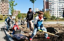 Фото 2: Мешканці соціального житла на вул. Миколайчука разом озеленили свій простір (відео)