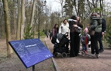 Фото 4: У Стрийському парку відкрили Пагорб пам’яті полеглих захисників