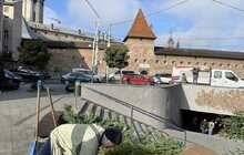 Фото 9: Санітарна обрізка, догляд та пересадка рослин: на площі Митній упорядкували клумби