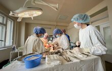 Фото 4: У Львові однорічній дитині вперше в Україні пересадили шкіру від посмертного донора