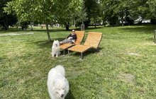 Фото 9: Стільці, лавки та лежаки: у львівських парках встановлюють вуличні меблі