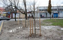 Фото 8: У місті з’явився ще один громадський простір – на вул Петлюри