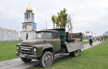 Фото 2: У Сихівському районі стартувала масштабна осіння висадка дерев