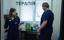 Фото 6: Відтепер в ЛКП «Лев» можна отримати сертифікат для виїзду з твариною за кордон