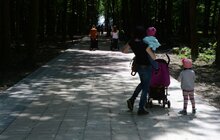 Фото 26: На Сихові розпочали роботи з облаштування парку духовної культури