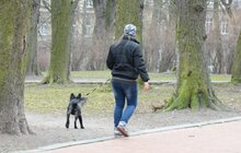 Фото 2: У Львові з’явиться мережа вигульних майданчиків для собак: перший пішов!