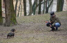 Фото 10: У Львові з’явиться мережа вигульних майданчиків для собак: перший пішов!