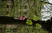 Фото 3: У Стрийському парку та парку ім. І. Франка з'явились шпаківні