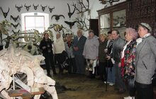 Фото 2: Для дідусів та бабусь організували екскурсію в Зоологічний музей