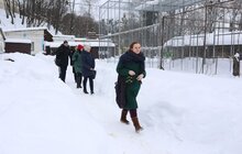Фото 20: У мерії розглядають можливості комплексного розвитку парку «Знесіння» і Домівки врятованих тварин