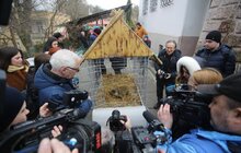 Фото 7: Бабачиха у міському еколого-натуралістичному центрі навіщувала ранню весну