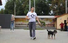 Фото 21: У Львові відомі спортсмени допомагали безпритульним тваринам