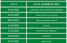 Фото 2: ЛКП «Лев» виловлює безпритульних собак: графік виїзду бригад на березень і квітень