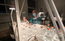 Фото 13: Мер Львова нагородив колектив АТ «Галичфарм» за допомогу місту під час карантину