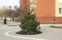 Фото 13: На Сихові завершують роботи з облаштування нового громадського простору