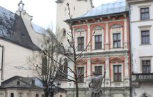 Фото 6: Мер Львова та тимчасово повірена у справах США в Україні спільно висадили на пл. Ринок рожевоквітний каштан