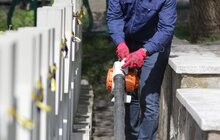 Фото 1: У всіх районах Львова триває прибирання до Великодніх свят