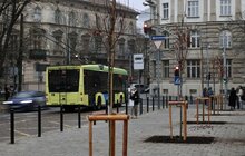 Фото 1: Нова локація для дерев: біля університету імені Івана Франка висадили клени