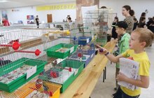 Фото 14: У Львові стартував Дитячий Форум