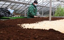 Фото 3: У парку «700-річчя Львова» продовжують посипати доріжки кавовою гущею для боротьби з ожеледицею