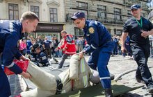 Фото 6: У Львові провели Сімейний день надзвичайних ситуацій