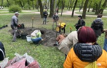 Фото 5: У Львові висадили вже четвертий дощовий садок: тепер така локація є у парку Івана Франка (відео)