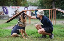Фото 4: Ветеран без руки щодня вигулює 60 собак з ЛКП «Лев» (відео)