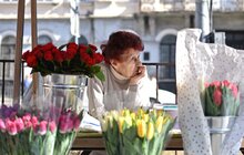 Фото 1: Мерія впорядкувала стихійну торгівлю квітами, облаштувавши сучасні дерев’яні ятки у центрі Львова (фото/відео)