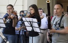 Фото 9: На пл Ринок стартувала «Ніч у Львові» - орган прозвучав просто неба