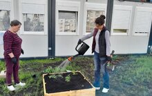 Фото 21: У Львові мешканці модульного містечка висадили грядки