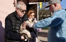 Фото 6: У Підбірцях безкоштовно провакцинували 35 котів та собак від сказу
