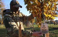 Фото 4: У Левандівському парку висадили 30 дерев пам’яті захисників (відео)
