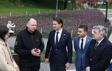 Фото 2: 200 тисяч тюльпанів Нідерланди вже подарували Львову