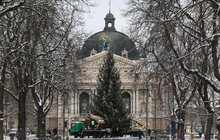 Фото 1: Головну ялинку Львова відвезли на компостування (відео)