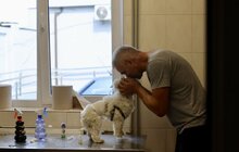 Фото 13: ЛКП «Лев» стає міським центром із комплексної допомоги для безпритульних та домашніх тварин (фото/​відео)