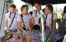 Фото 33: Бізнес зі шкільної парти: як учні у Львові запускають власний бізнес (відео)