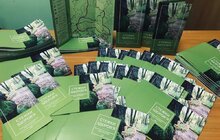 Фото 5: Інститут просвіти дослідив найцікавіші туристичні зупинки парку «Знесіння»