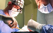Фото 2: У лікарні швидкої медичної допомоги хірурги вперше провели забір нирки для трансплантації лапароскопічно
