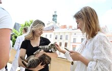 Фото 3: Управлінці з різних міст приїхали до Львова на резиденцію про місцеву демократію
